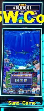 Live Casino Suno Game